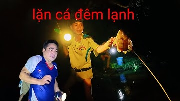 Trời Lạnh, Suối Lặng, Và Cuộc Săn Cá Âm Thầm Giữa Đêm