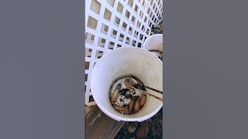 Horse manure incoming quality inspection