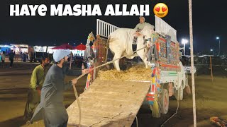 Aj Kon Kon Farm Sy Chala Gaya? 🥺 | Loading + Unloading 😍 | AR Maani