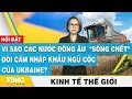 Vì sao các nước Đông Âu sống chết đòi cấm nhập khẩu ngũ cốc của Ukraine | Kinh tế thế giới | FBNC