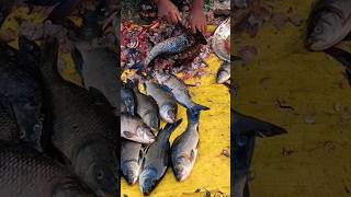 Wow!! Rohu fish cutting skills in india 😱🇮🇳 local market 😱#shorts