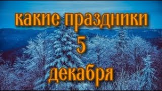 какой сегодня праздник? \ 5 декабря \ праздник каждый день \ праздник к нам приходит \ есть повод