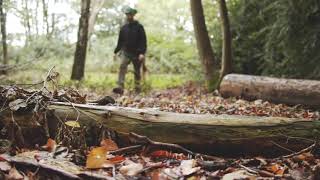 Clear Cut Trees | North London Tree Surgeons | What is Arboriculture