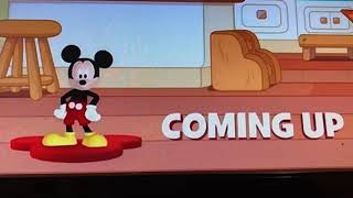 Bluey Now Screenbug And Mickey Mouse Clubhouse Coming Up Screenbug Mickey Mornings