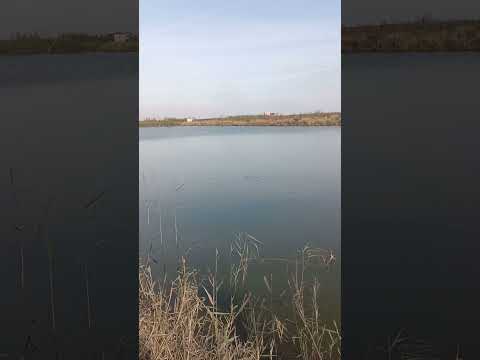 لا يدوم الود الا مع الطيب اكسبلور ورك تيك توك 