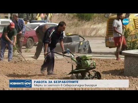 Video: „Nočná mora z veľkého mesta“: ako prežiť v metropole