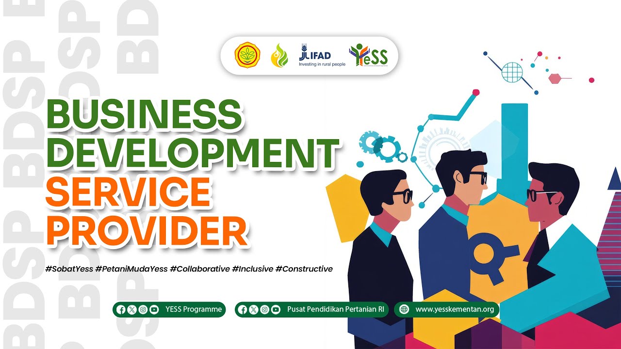 Business Development Service Provider (BDSP) - YouTube
