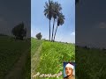 قرآن عبدالباسط عبدالصمد تلاوة خاشعة Quran قران كريم قرآن الصباح قرآن عبدالباسط عبدالصمد تلاوة خاشعة Quran قران كريم قرآن الصباح