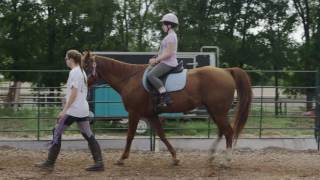 Healing With Horses Ranch