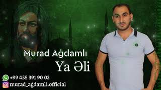 Murad Agdamli Ft Ilqar Nehremli Ft Kerbelayi Terlan - Ya Eli 2019