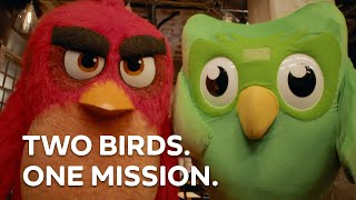 Duolingo X Angry Birds 2: The Team-Up