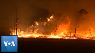 A pair of wildfires have destroyed dozens homes near los angeles and
forced the evacuation hundreds residents, fire officials said on
friday, octobe...