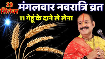 23 सितंबर नवरात्रि मंगलवार द्वितीया को 11 गेहूं के दाने वाला उपाय जरुर करे || Pradeep Ji Mishra