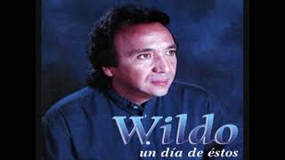 Indiferentemente - Wildo