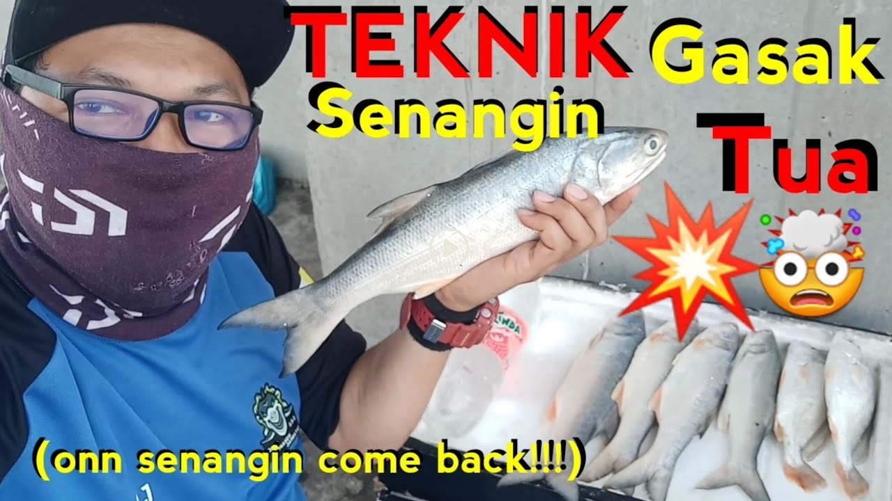 TEKNIK GASAK!!! SENANGIN TUA (ONN SENANGIN COME BACK!!!)LAYAN..