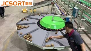 Kiwi Weight Grading Machine