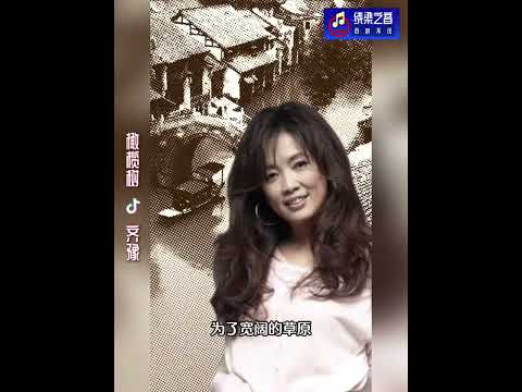 橄榄树-齐豫
