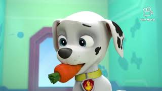 Paw Patrol Season 1 Episodes 10 Wipeouts