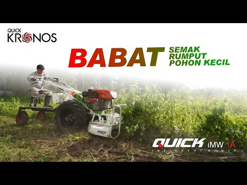 Babat Rumput, Semak,