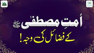 Ummat e Mustafa ﷺ Ki Fazilat | Ummat e Mustafa Ko Fazilat Kyun Di Gayi? | Darulifta Ahlesunnat screenshot 2