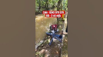 Bơm nước trục xuyên cắt cỏ ống 90 - động cơ 4 thì