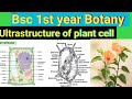 Describe the Ultrastructure of plant cell || Detailed structure of plant cell bsc botany subsidiary