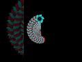 Amazing rotating python graphics design using turtle  python pythonshorts coding viral design