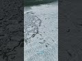 Mikoszewo lodowy półwysep na zatoce torosy luty 2026 #water #drone #lake