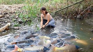 Most Effective Fishing Techniques: Hunting BIGGEST Dragon Fish from AMAZON River Monsters