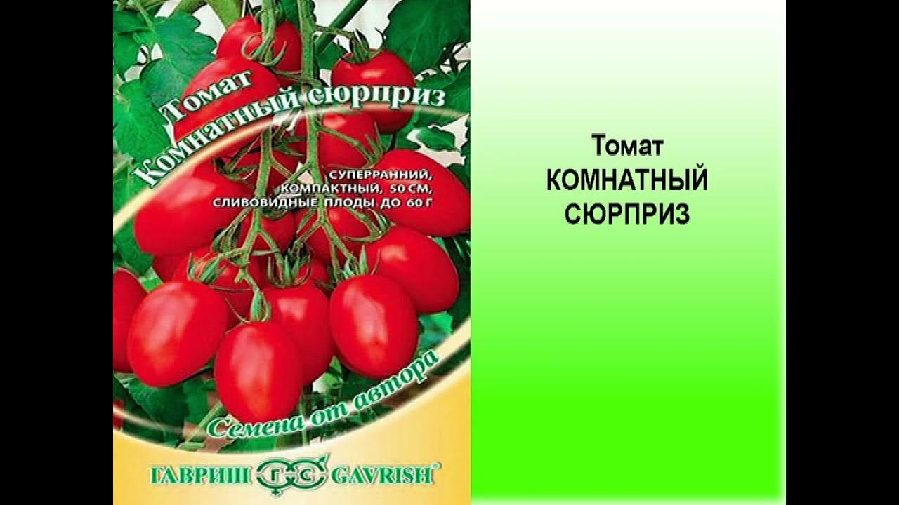 Семена Томат "Комнатный сюрприз", 0,05 гр. + 2 Подарка - купить в интернет-магаз