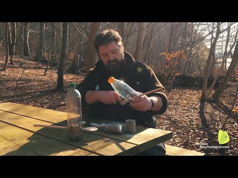 Frikvarter i naturen