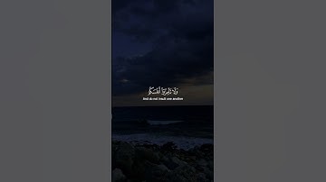 سورة الحجرات - الآية 11 - تلاوة ماهر المعيقلي