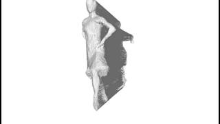 Topologically-Robust 3D Shape Matching Based on Diffusion Geometry and Seed Growing