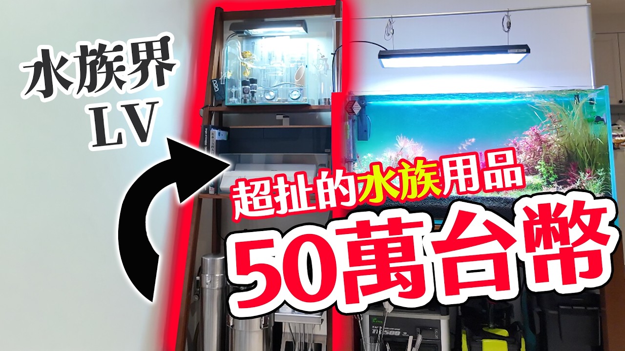 What does the ultimate aquarium look like? Hidden cable management