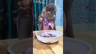 Sam boy sits and eats fruit so calmly #shorts