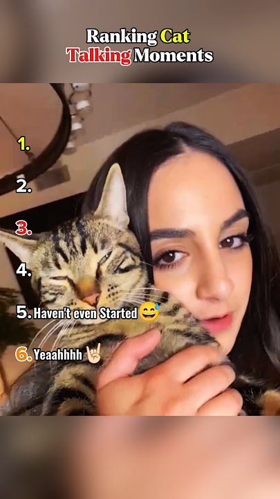 Ranking Cat Talking Moments