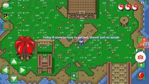 How to get net, shovel and rat morph in graal