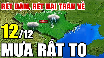 Dự báo thời tiết hôm nay và ngày mai 12/12/2025 | Dự báo thời tiết trong 3 ngày tới