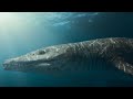 The Tyrannosaurus Rex of the Seas | Attenborough and the Giant Sea Monster | BBC Earth