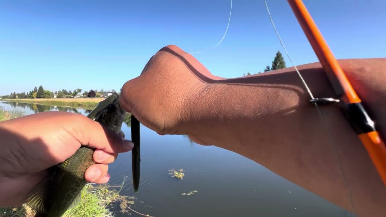 Stockton Bass Fishing!