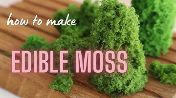HOW TO MAKE EDIBLE MOSS | Edible moss sponge