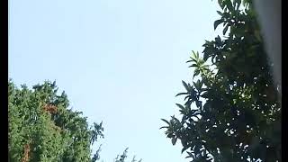 Serseri Dizisi Sibel Ömere Evlenme Teklifi Ediyor