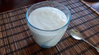 Faça seu Iogurte grego de coco e inhame - Receitas Bem Dicas
