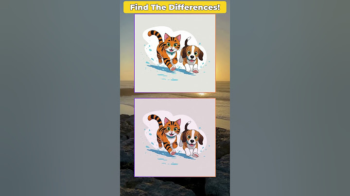 Playful Tabby Cat 🐱 & Beagle Puppy 🐶 | Cartoon Best Friends Forever #shorts