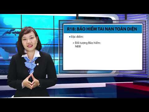 Các Gói Bảo Hiểm Nhân Thọ Bảo Việt - Tóm tắt hệ thống các sản phẩm bổ trợ - Bảo Việt Nhân Thọ