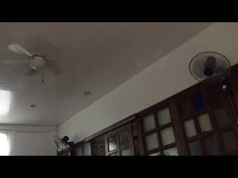 Pin By Cathie Alberico On Ceiling Fans Ceiling Fan With Light Led Ceiling Fan Ceiling Fan