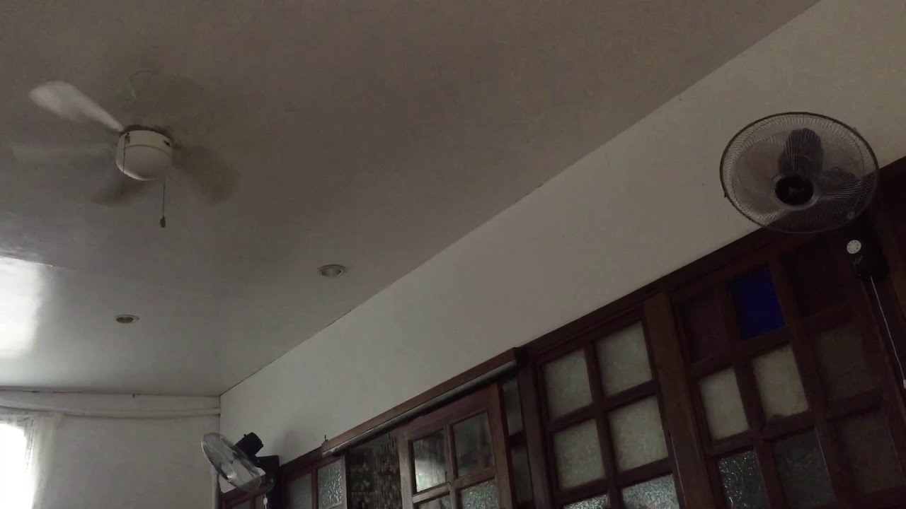 Westinghouse/Canarm brand Swirl/Turbo Swirl ceiling fan and Standard brand wall fans