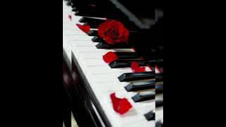 Mequel Steyn(Rurie se stukkies)langarm/Volume 5