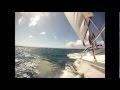 Fast  fun day sail with horizon yacht charters grenada