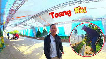 Đến Ngày Cưới Đại Cả Nhà Lại Gặp Chuyện Không May / Quế Nghịch